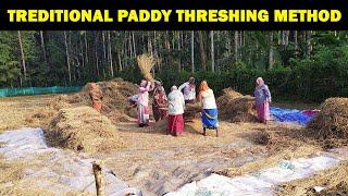 Traditional Paddy Threshing Method | Rice threshing at Village | Village Life