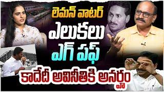 కాదేదీ అవినీతికి అనర్హం | Sr Journalist DVS about YS Jagan Scams | Kodali Nani | YS Bharathi | YCP