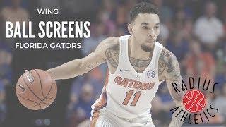 Florida Gators - Wing Ball Screens