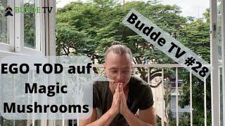 Ego Tod auf Magic Mushrooms (Psilocybin Pilze Erfahrungsbericht) - Budde TV #28