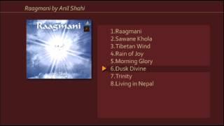 Raagmani by Anil Shahi