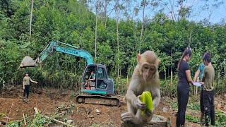 Excavator Digging fish ponds Let the orphan boy live with the monkey.