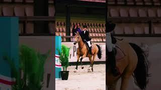 I have tiktok account now too! Its -viral.horsepower CREDITS: sofia_remiz_ #horse #edit #shorts
