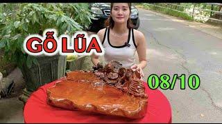 GỖ LŨA - 0982289206 - VŨ THỊ XINH (08.10.24)