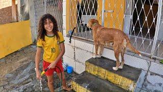 O CACORRO DORMIU NO BANHO- THE DOG SLEPT IN THE BATH