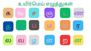 உயிர்மெய் எழுத்துகள் | தமிழ் உயிர்மெய் எழுத்துகள் | Tamil Uyirmei Eluthukkal | Learn Tamil கஙசஞ