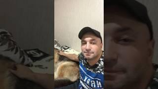 Немного юмора  #shorts #юмор #цитаты