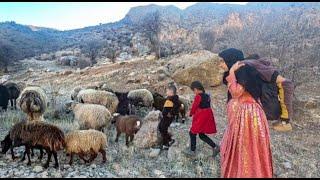 Single mother'-Bringing Sheep Home: A Single Mother's Journey with Her Kids