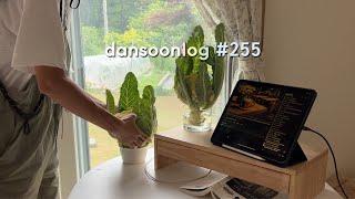 Summer rural life in Korea vlog 255) Vegetable bombing