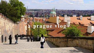 Prague streets & cafes, old town at night, and roaming through Mala Strana