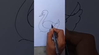 how to draw swan / easy swan drawing / hans kaise banaen  #shorts #shortsfeed #drawing