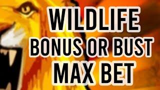 Wildlife ( BONUS - OR - BUST ) Max Bet !