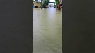 #sarkari #school #talent #flood