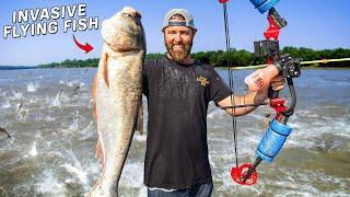 Shooting Invasive Flying Carp with a Bow