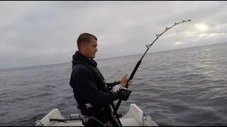 Two Bluefin Tuna Caught Solo on a 16ft Boat in the UK - Cornwall Sea Fishing | The Fish Locker