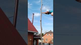 КАК ОБРЕЗАТЬ МАКУШКУ У ГРУШИ #сад #обрезка #груша