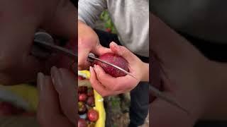 Beautiful Nature - Inspur Fresh Fruit wonderful video of Industry #9284