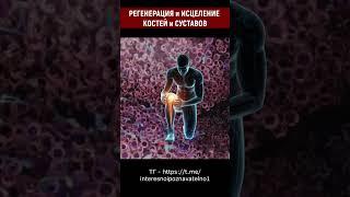 Регенерация и исцеление костей, суставов, хрящей лечебными альфа волнами