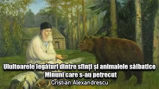 Uluitoarele Legaturi Dintre Sfinti Si Animalele Salbatice * Minuni Care S-au Petrecut