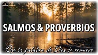 Palabra de Dios para dormir en paz | Salmos & Proverbios | 12 HRS