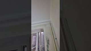 #косметический ремонт#короб для скрытого карниза