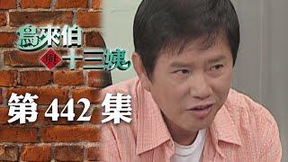 鳥來伯與十三姨【新再製】EP442｜三立台劇