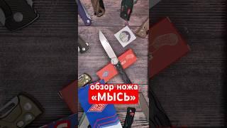 ОБЗОР НОЖ «МЫСЬ». ПЕРВЫЙ БЛИН КОМОМ? БЕЛКА ОТ ПЕРЕМЕН (DAGGERR). ДАГГЕРР УЖЕ НЕ ТОТ?