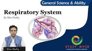 Understanding Humans Respiratory System | Study River | #generalscienceandability by Mian Shafiq