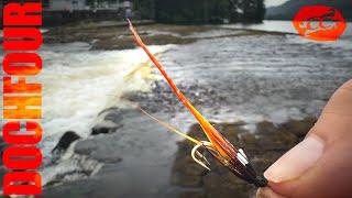 Salmon caught on the fly | Dochfour | salmon fishing Scotland 2024 󠁧󠁢󠁳󠁣󠁴󠁿