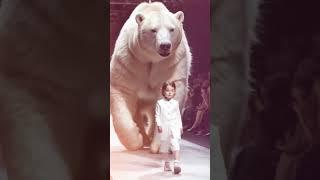 Big white bear Cute baby fashion show #bear #baby #agt #shorts