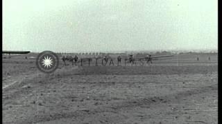 American glider landing and crashing in areas of Holland. HD Stock Footage