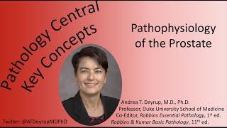 Medical School Pathology: Pathophysiology of the Prostate