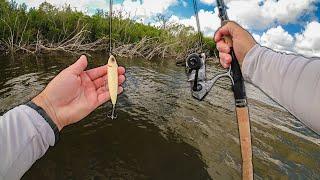 CRAZY Day Topwater Snook Fishing Florida Saltwater Flats!!