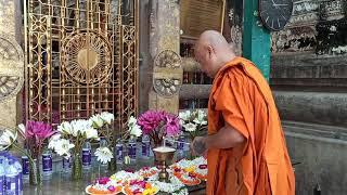 Pali sutta chanting by Ven. Monks of Mahabodhi Temple under the sacred holy Bodhi tree, 25.09.2021