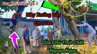 Chủ Nhà Thoát Chết Bất Ngờ Vua Khỉ Miền Tây 2 Cùng Anh Kiệt Cưa Cây Bàng Cạnh Nhà Cực Mạo Hiểm
