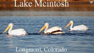 Mcintosh Lake  Longmont, Colorado 80503