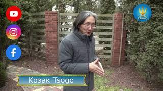 Ваш Козак Tsogo