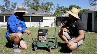 Rescuing a dying struggling Kikuyu lawn