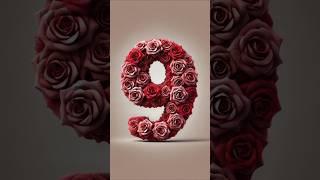 #shorts 10 Seconds of Elegance: The Red Roses Countdown ⏳ #holidayswithyoutube