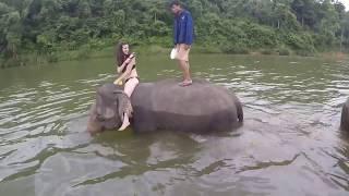 Luang Prabang elephant sanctuary