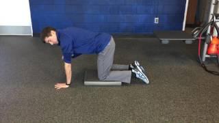 Quadruped Hip Extension