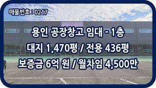 [매물번호 0217] 용인공장임대 용인창고임대 1층 전용 436평 보정동 대형 단독 창고 공장 대로변 가구 자재 철강 유통 물류 택배 상하차 전시장 대형마트 판매시설 생활용품점