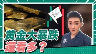 黃金大暴跌！還看多？｜歐美做多機會來了！｜特斯拉再吸籌？我們該怎樣切入？