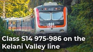 RARE | Class S14 975-986 on the Kelani Valley line in Sri Lanka