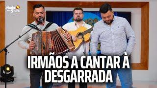 Irmãos a Cantar à Desgarrada - Quinzinho e Rafael