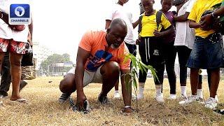 Lekki Residents Begin Tree Planting Campaign To Tackle Coastal Erosion