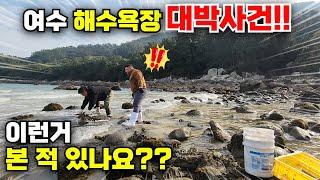 여수 해수욕장 대박사건!! 널려 있는 고급 술안주 스케일 장난없다!! (굴, 바위굴, 너무 커서 깜짝 놀랬어요)