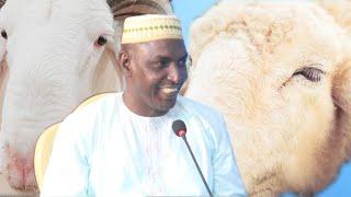 GANNDE BALEBE (THIERNO MUUSAA USMAN NDOMMBO)