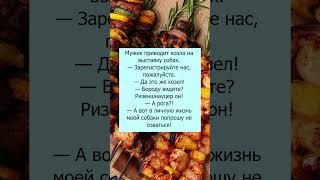 невероятная выставка #позитив#юмор#ржака#прикол#memes