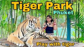 Tiger park phuket Thailand | Phuket City Tour | biggest & smallest Tiger Play with tigers #thailand